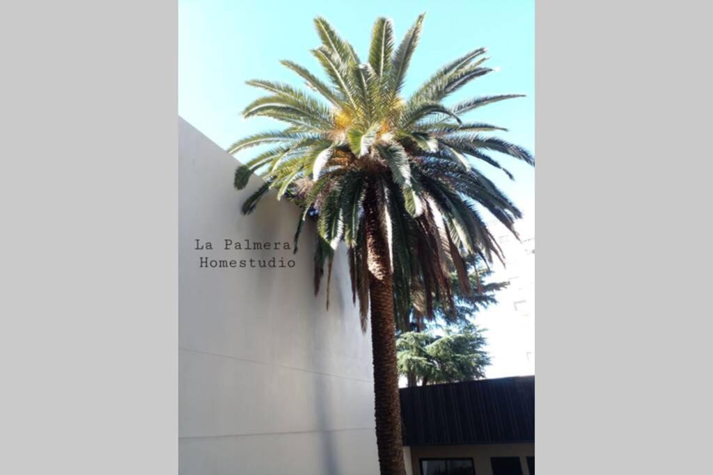 La Palmera Homestudio. Hermoso apartamento en el corazón de Palermo Hollywood Ciudad Autónoma de Ciudad Autónoma de Buenos Aires Exterior foto